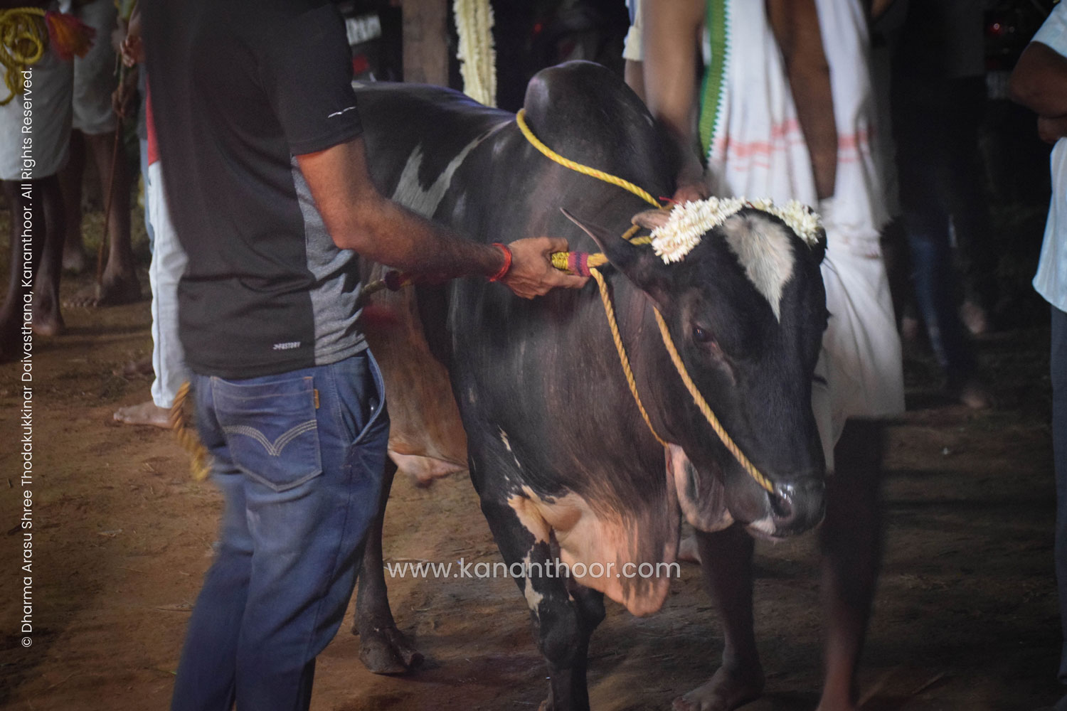 Temple Gallery Image